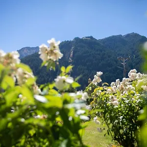 Casa de Férias Historic Stonehouse & Alley - Sleeps 14 With Pool Queenstown